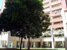 woodlands-circle photo thumbnail #14